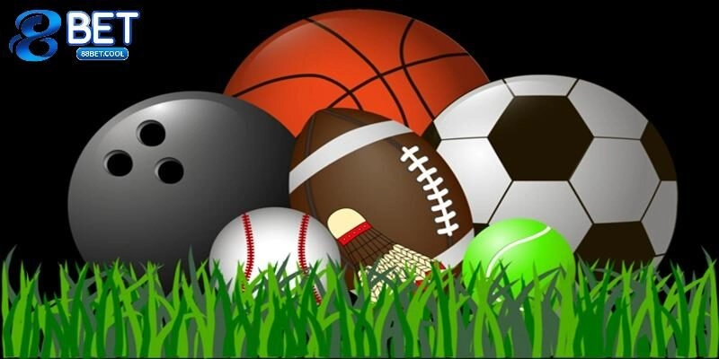 Giới thiệu vài nét về sảnh S - Sports